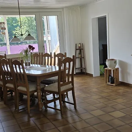 With Friends 2 Daire Trier